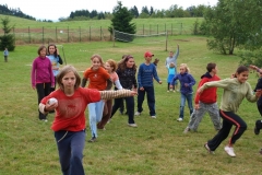 img(775)