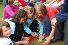 img(778)