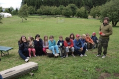 img(779)