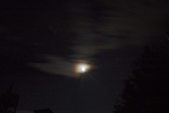 img(78)
