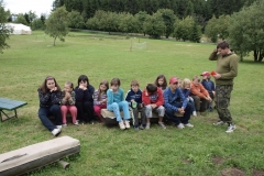 img(780)
