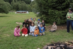 img(781)