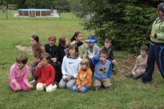 img(782)