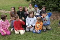 img(783)