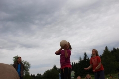 img(793)