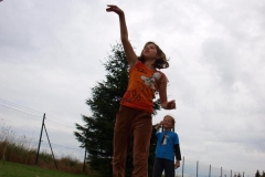 img(799)
