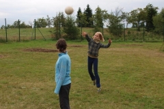 img(808)