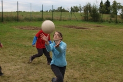 img(809)