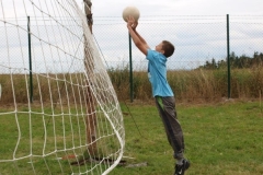 img(810)