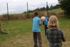 img(815)