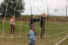 img(816)