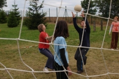 img(817)