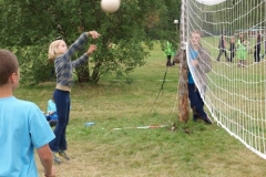 img(826)