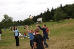 img(833)