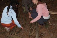 img(864)