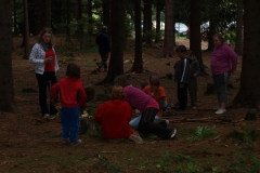 img(869)