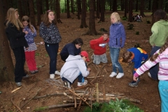 img(875)