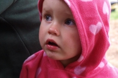 img(878)