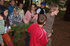 img(885)