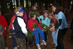 img(894)