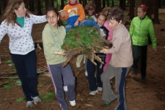 img(895)