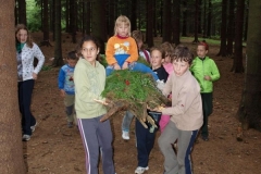 img(896)