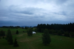 img(925)