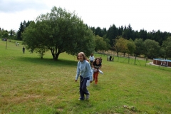 img(963)
