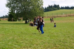 img(975)