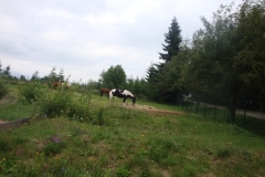 img(102)