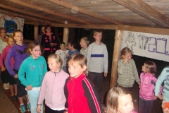 img(219)