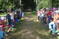 img(223)