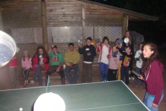 img(229)