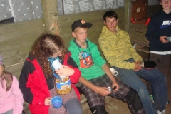 img(231)