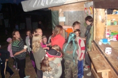 img(233)