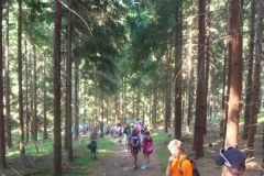img(234)