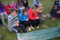 img(27)