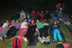 img(278)
