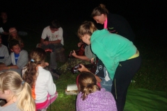 img(282)