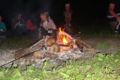 img(284)