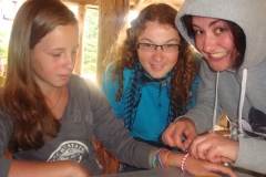 img(316)