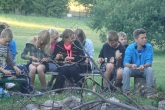img(342)