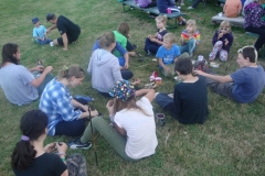 img(344)