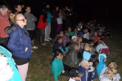 img(346)
