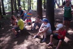 img(409)