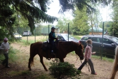 img(41)