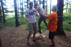 img(424)