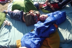img(428)