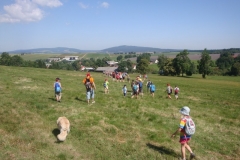 img(432)