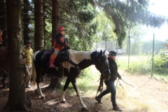 img(49)